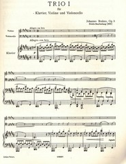 Johannes Brahms – Piano Trio in B major. Op. 8, or Piano, Violin and Cello