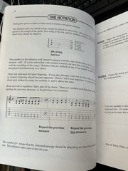 Rockabilly Rebels Songbook with Guitar Tab Transcriptions by Roy Zimmerman