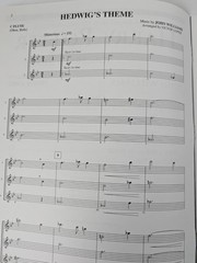 Harry Potter Sorcerer&rsquo;s Stone Sheet Music Flute 7 Songs Solo Duet Trio