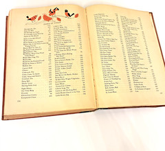 Fireside Book of American Songs Sheet Folk Music Americana Illustrated Vtg 1952