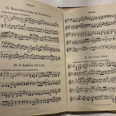 Vintage 1920’s Austrian Music Scores Beethoven 85 Pages