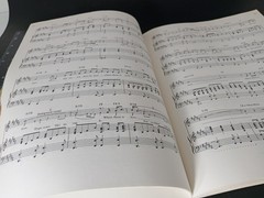 lot of 2 Wedding song books collections arranged Piano Vocals guitar religious