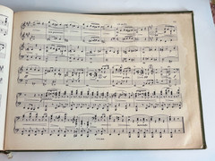 1904 Paul Hassenstein Schule Normal Harmonium Antique Music Method Book