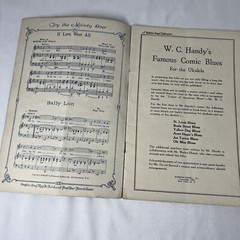 Vintage 1920 Wc Handys Famous Comic Blues For Ukulele