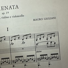 Mauro Giuliani Serenata Op. 9 Classical Guitar Violin sheet Music -HTF 45 Pages
