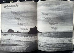 NEIL DIAMOND – JOHNATHON LIVINGSTON SEAGULL – GUITAR TRIO SONGBOOK 1973