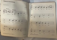 5 Golden Music Big Note Books Organ Piano Guitar Elvis, Mitch Miller, Blues Show