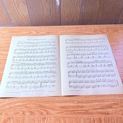 The Irish Washerwoman Piano Solo Sheet Music By Mort H. Glickman Calumet 1935