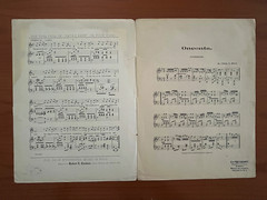 Oneonta sheet music, 1904, By Chas. E Bray