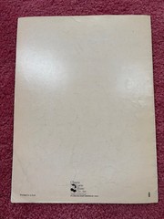 RARE Mandolin Rain sheet music by Bruce Hornsby and the Range (P/V/G) 1986