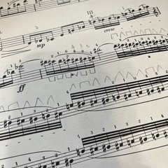 Bela Bartok Viola Concerto Viola and piano Boosey and hawkes 1949