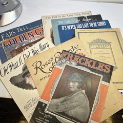 Sheet Music 1916-1920 Lot Of 9 With Bonus 1908 Italian/english Songbook
