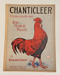 3 Antique Pieces of Sheet Music 1901-1913 RAG; Rag, March, Waltz; & BLUES