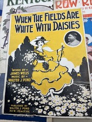 Vintage Sheet Music Lot 1920s 1930s Irving Berlin Ziegfeld Illustrated (58-23)