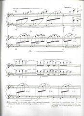Clair de Lune for 2 or Multiple Harps transcribed by Carlos Salzedo