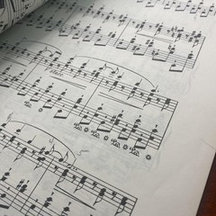 Vintage G Schirmer Chopin Etudes Complete Works Piano Score 1551 Yellow USA