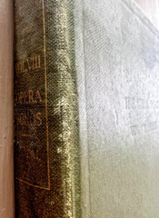 1913 Ideal Home Music Library Vol VIII Songs from the Operas Vocal Sheet Musical