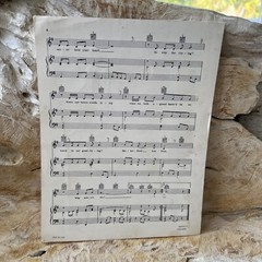 Butterflies Are Free Sheet Music Piano& Vocal Charles Hansen Inc. 1969