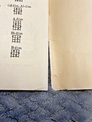 Hawaiian Vintage Golden Gate Folio Of Hawaiian Songs Music Book 1941 Guitar
