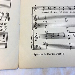 Sparrow in The Tree Top Bob Merrill Sheet Music 1951 Vintage