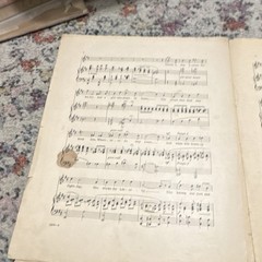 Women of the Homeland Sheet Music Piano Voice Patriotic Leo Feist Inc