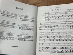 Ludwig van Beethoven Six Celebrated Trios for Violin, Cello and Piano No. 952