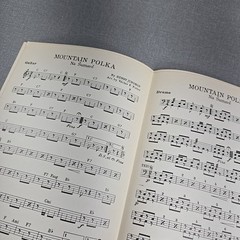 Mountain Polka Orchestra Arrangement Piano Guitar Drums Bass Cello Trombone