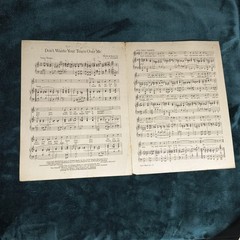 1923 Music Poster Sheet Music « Don&rsquo;t Waste Your Tears On Me