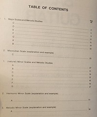 BASS GUITAR: Scales & Melodic Patterns By Jay Friedman 1978 Music Book