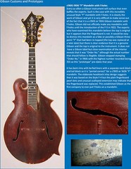 The Complete Guide to the Gibson Mandolins