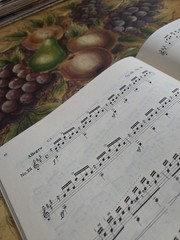 Mauro Giuliani 25 Etudes For Classical GuitarRare Book,Zen-On Series Jap Edition