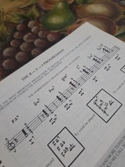 Vincent Bredice Jazz Guitar Lines Rare Book,1981 Edition 142 Pages Spiral