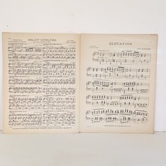 Antique 1924 Elevation Sheet Music by Otto Florsheim
