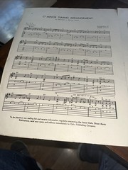 Guitar Polka Arranged For Hawaiian And Electric Guitar