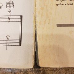 The (John Denver) Song Book, Cherry Lane Music Co. 1971 Piano/ Vocal/ Guitar/!!!