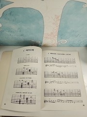 Vintage 1979 Guitar Country Licks By Jay Friedman – Earnie ball Instruction Book
