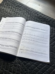 RARE Cacophony TABLATURE songbook JASON BECKER MARTY FRIEDMAN Tab