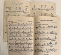 Vtg Ukulele Song Book Lot Roy Smeck Irving Berlin Witmark Uke Instructions Rare