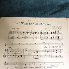 1923 Music Poster Sheet Music « Don&rsquo;t Waste Your Tears On Me