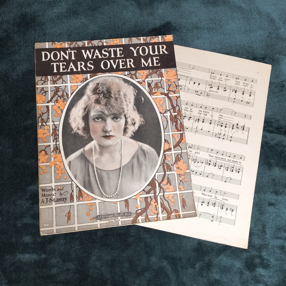 1923 Music Poster Sheet Music « Don&rsquo;t Waste Your Tears On Me