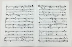 Derek Healey Rejoice O Land SATB Chorus Choral Organ Sheet Music ECS Publishing