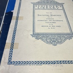 Sheet Music 1916-1920 Lot Of 9 With Bonus 1908 Italian/english Songbook