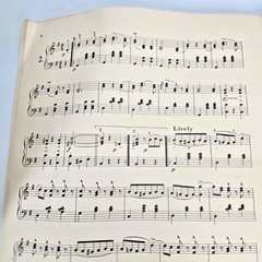 On the Beautiful Blue Danube Sheet Music Piano Johann Strauss Op 314 1901 Waltz