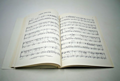 Vintage 1976 110 Platinum Pops Song Book ~ Guitar Piano Vocals Organ Chords PB