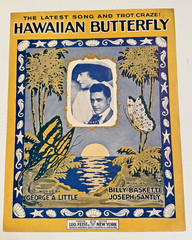 Vintage 1917, 1926 HAWAIIAN SHEET MUSIC – HAWAIIAN BUTTERFLY & HELLO, ALOHA!
