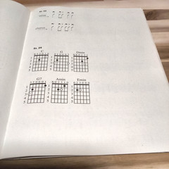 Acoustic Guitar 1 ~ See/Hear/Play ~ Alfred Instructional Songbook W/ DVD