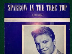 VINTAGE 1951 “SPARROW IN THE TREE TOP” SHEET MUSIC BY BOB MERRILL & GUY MITCHELL