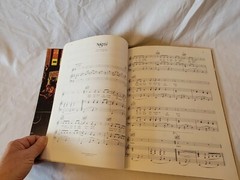 BEAUTIFUL NOISE Songbook Sheet Music Vintage 1976 Neil Diamond Songs Guitar