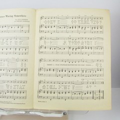 There&rsquo;s a Star Spangled Banner Waving Somewhere Sheet Music Elton Britt P/V/G