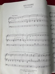 One Hundred Hymn Preludes for organ Kevin Mayhew 1993